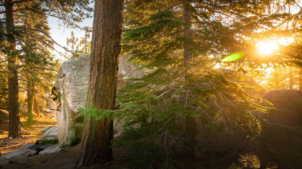 Black Mountain Bouldering - woman rock climbing with pine trees and sunlight